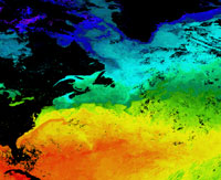 atlantic ocean sea surface temperature, description follows