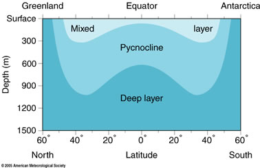 depiction of mixed layer above pycnocline above deep layer betwen greenland and antarctica, description follows