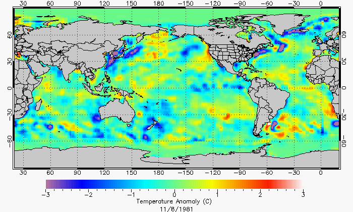 temperature anomaly map for the whole ocean 11/8/1981