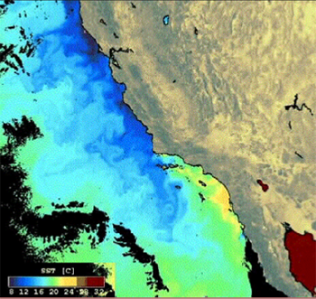 sea surface temperature off California coast, description follows