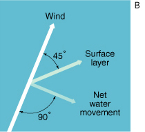 wind at a 90 degree angle to net water movement and a 45 degree angle to the surface layer, description follows