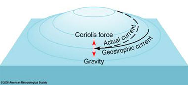 coriolis force at a right angle to geostrophic current direction, and opposite the direction of gravity, description follows